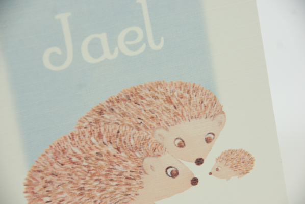 geboortekaartje jael lichtblauw